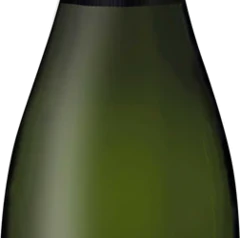 photo Franciacorta Blanc de Blancs Extra Brut Riserva Docg 2016 Camossi