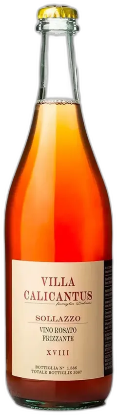 illustration du vin Sollazzo