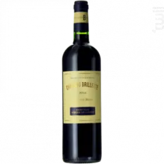 vue du vin Château Brillette