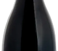 photo Saumur-Champigny 'les Dares' 2023 Domaine des Sanzay