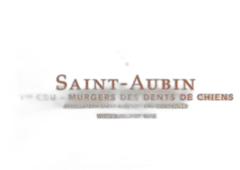 capture du vin Saint Aubin 1er Cru les Murgers des Dents de Chien