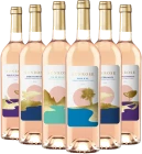 photo Pack Vins Rosés Sunrose
