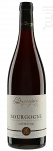 photo Bourgogne Côte d’or Pinot Noir