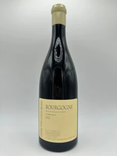 photo Domaine Pierre-Yves Colin-Morey Chardonnay Bourgogne 2022 Bourgogne France