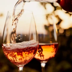 photo Cours d’Oenologie Comment on Fait les Vins Rosés