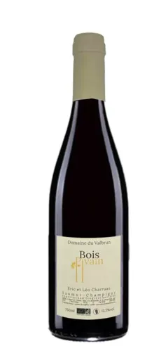 photo Saumur Champigny Bio Aoc) Bois Pivain Domaine du Valbrun 2023