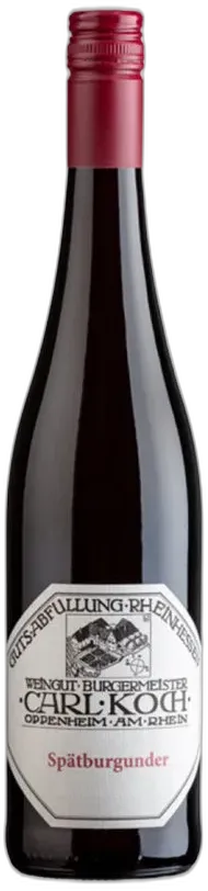 photo Pinot Nero Guldenmorgen Carl Koch 2021