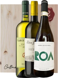 photo Kit Vins Blancs du Piémont