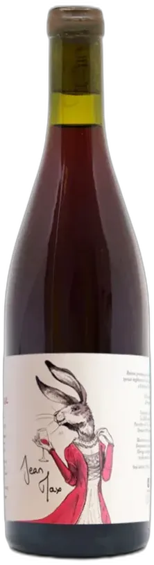vue du vin Beaujolais 'l'Exthase' Jean Max 2022