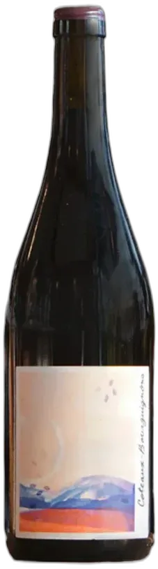 photo Coteaux Bourguignons la Chaume des Lies 2022