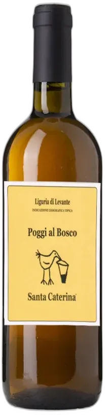 photo du vin Albarola 'Poggi al Bosco' Santa Caterina