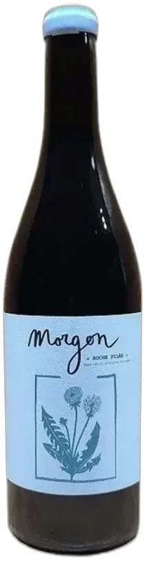 image du vin Morgon 'Roche Pilée' Domaine Hadrien Houbert