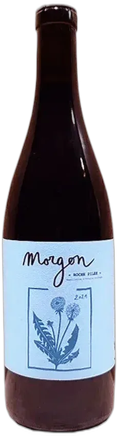 photo du vin Morgon 'Roche Pilée' Magnum Domaine Hadrien Houbert