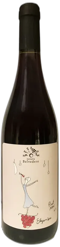 photo Pinot Nero Tenuta Belvedere 2021