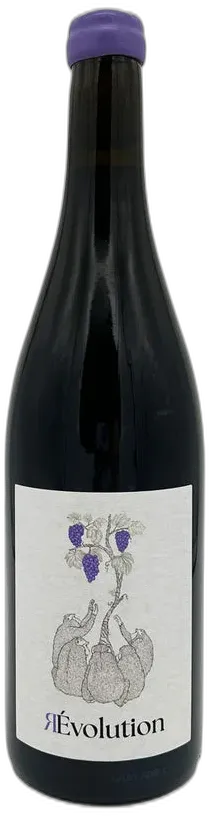 photo du vin Malbec 'r-Evolution' Oenosapiens 2023