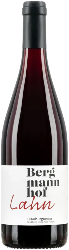 photo Pinot Noir 'Lahn' Bergmannhof 2022