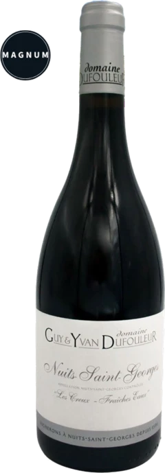 photo Nuits st Georges 2018 Creux Fraîches en Magnum Domaine Dufouleur