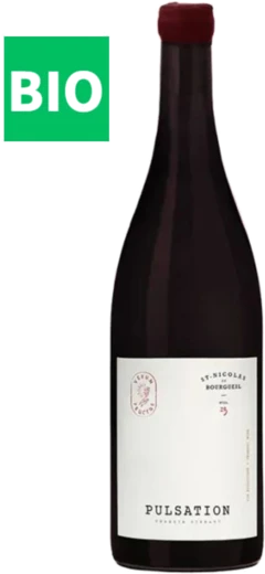 photo Pulsation st Nicolas de Bourgueil 2023 les Eclaireurs