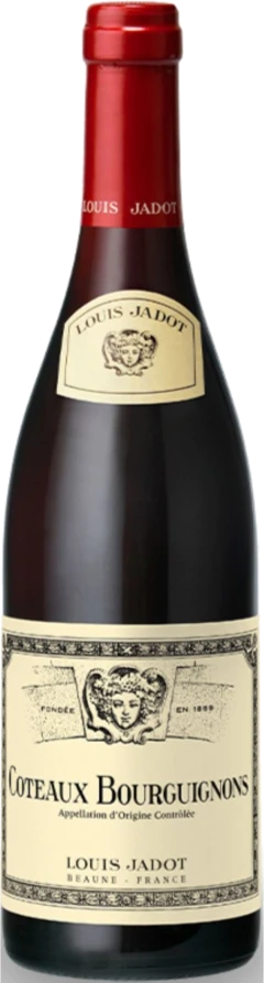 photo Coteaux Bourguignons 2023 Louis Jadot