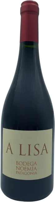 photo Bodega Noemia a Lisa 2021