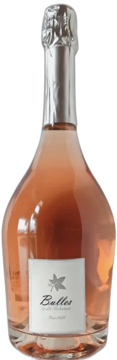 vue du vin Bulles Extra Brut by les Valentines Côtes de Provence Lalonde les Maures a Bio