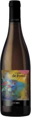 photo Anjou l’Âme de Fond Blanc 2020 Domaine le Fief Noir