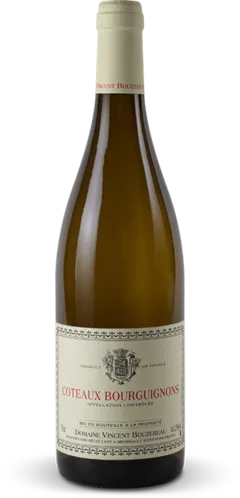 photo Coteaux Bourguignons Blanc 2020 Domaine Vincent Bouzereau