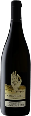 photo Chablis 1er Cru Montmains Blanc Domaine Moreau-Naudet