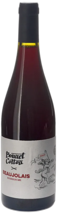 photos du vin Beaujolais Villages Rouge 2020 Domaine Pierre Cotton et Marine Bonnet