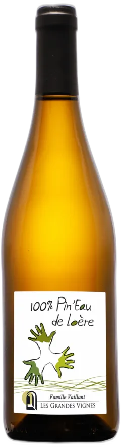 photo Vin de France Pin’Eau de Loère Blanc 2022 Domaine les Grandes Vignes Famille Vaillant