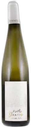 photo Gros Plant du Pays Nantais Domaine Luneau Papin Folle Blanche 2024