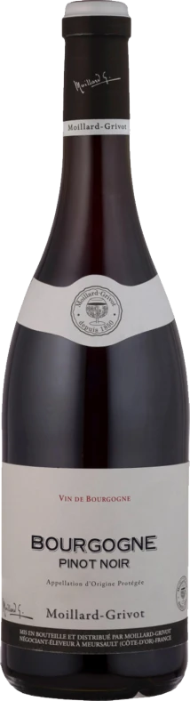 photo Bourgogne Pinot Noir 2022