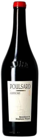 photo Poulsard Amphore
