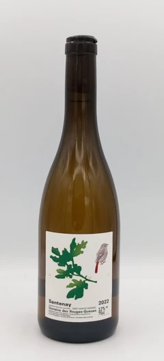 photo Bourgogne Santenay Blanc 2022 Domaine Rouges Queues