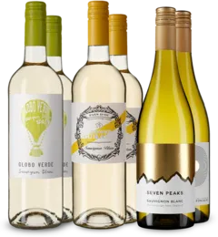 photo du vin Sauvignon Blanc en Assortiment Découverte