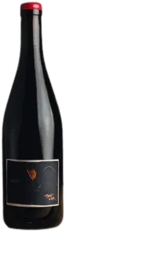 photo Bencze, Pinot Noir 2022