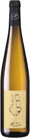 photo Domaine Bonnet-Huteau Plant b 2024