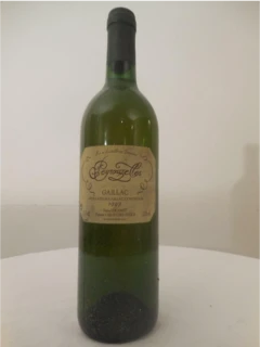 photo 1993 Gaillac Peyrouzelles Blanc Sud-Ouest France