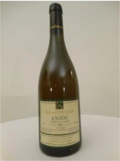 photo 2000 Anjou Château de Fesles Gérard Germain Blanc Loire Anjou France