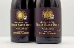 photo Michel Magnien Morey-Saint-Denis 1er Cru les Millandes 2019