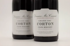 photo Méo-Camuzet Corton Grand Cru Clos Rognet 2022