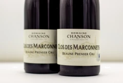 photo Domaine Chanson Beaune 1er Cru Clos des Marconnets 2021