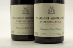 photo Paul Pillot Chassagne-Montrachet Rouge 1er Cru Clos Saint Jean 2022