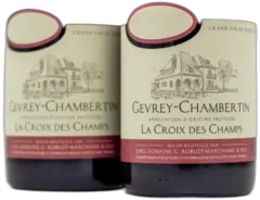 photo Roblot-Marchand Gevrey-Chambertin Croix des Champs 2019