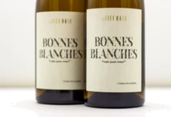 photo le Fief Noir Anjou Blanc Bonnes Blanches 2022