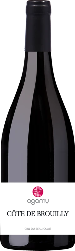 photo Côte de Brouilly Rouge 2023
