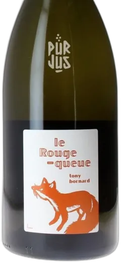 photo le Rouge Queue 2020 Tony Bornard Magnum