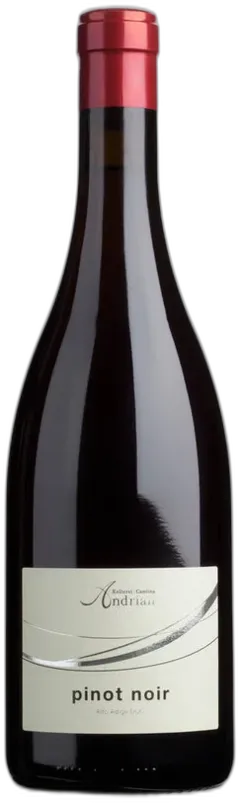 photo Pinot Nero Andriano 2024