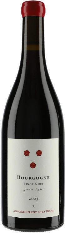 photo Bourgogne Pinot Noir Jeunes Vignes