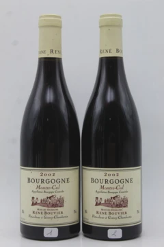 photo Bourgogne Montre-Cul René Bouvier 2002